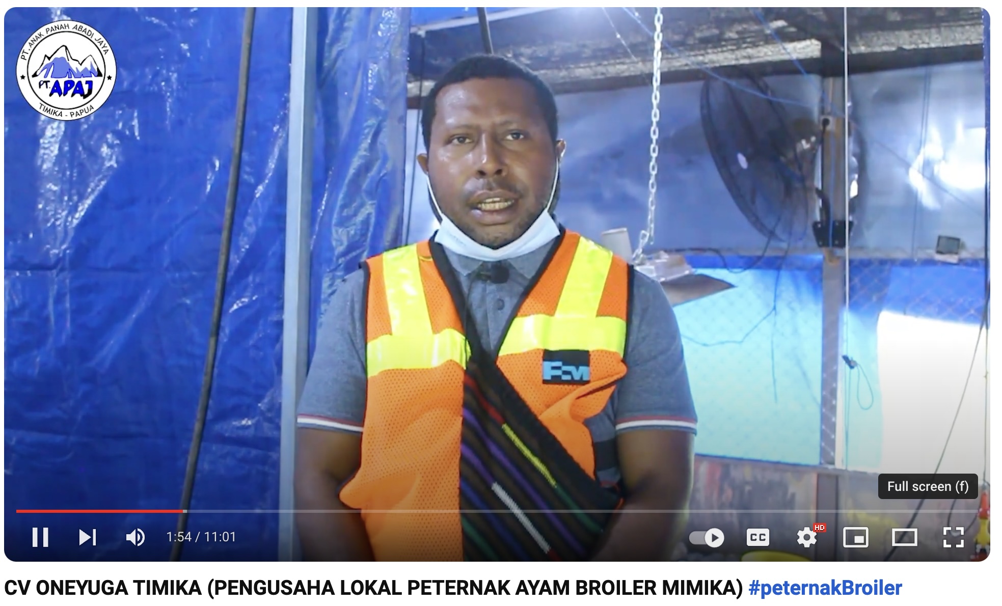  Usaha peternakan ayam boiler di Timika, Papua Tengah